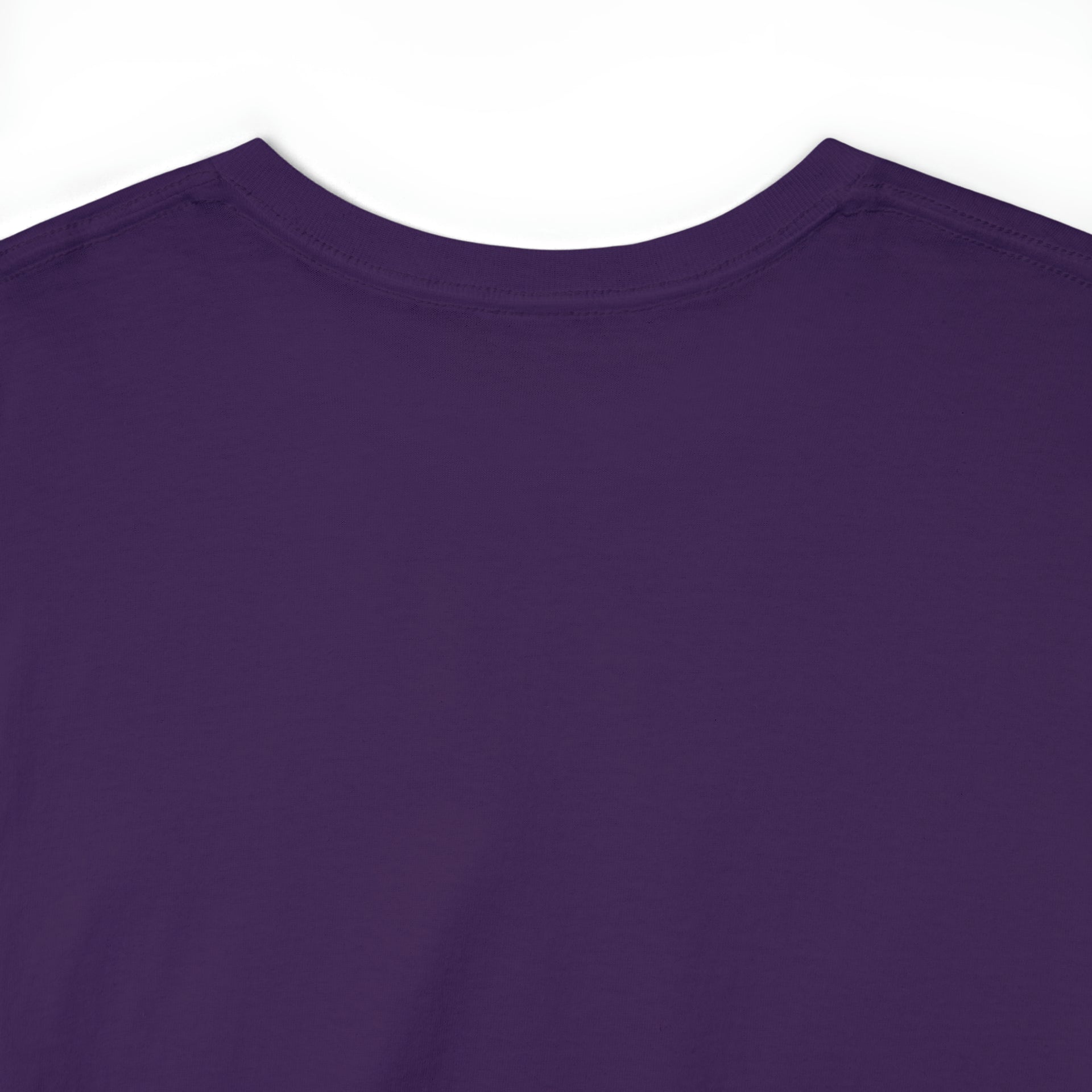 Break systems Unisex Heavy Cotton Tee